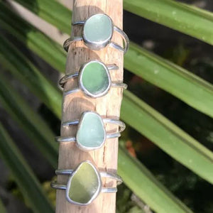 Green sea glass rings on a wooden stick with green leaves in the background